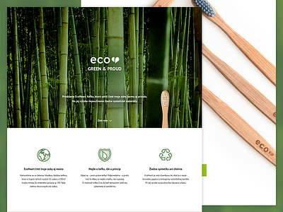 EcoHeart - Landing page eco ecoheart green toothbrush web webdesign