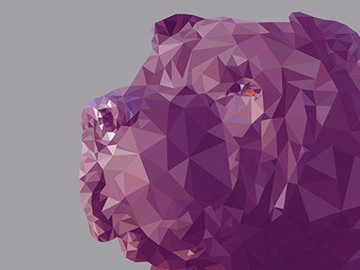 Maggie the Sharpei graphic design illustration no 3d software pet polygon art print