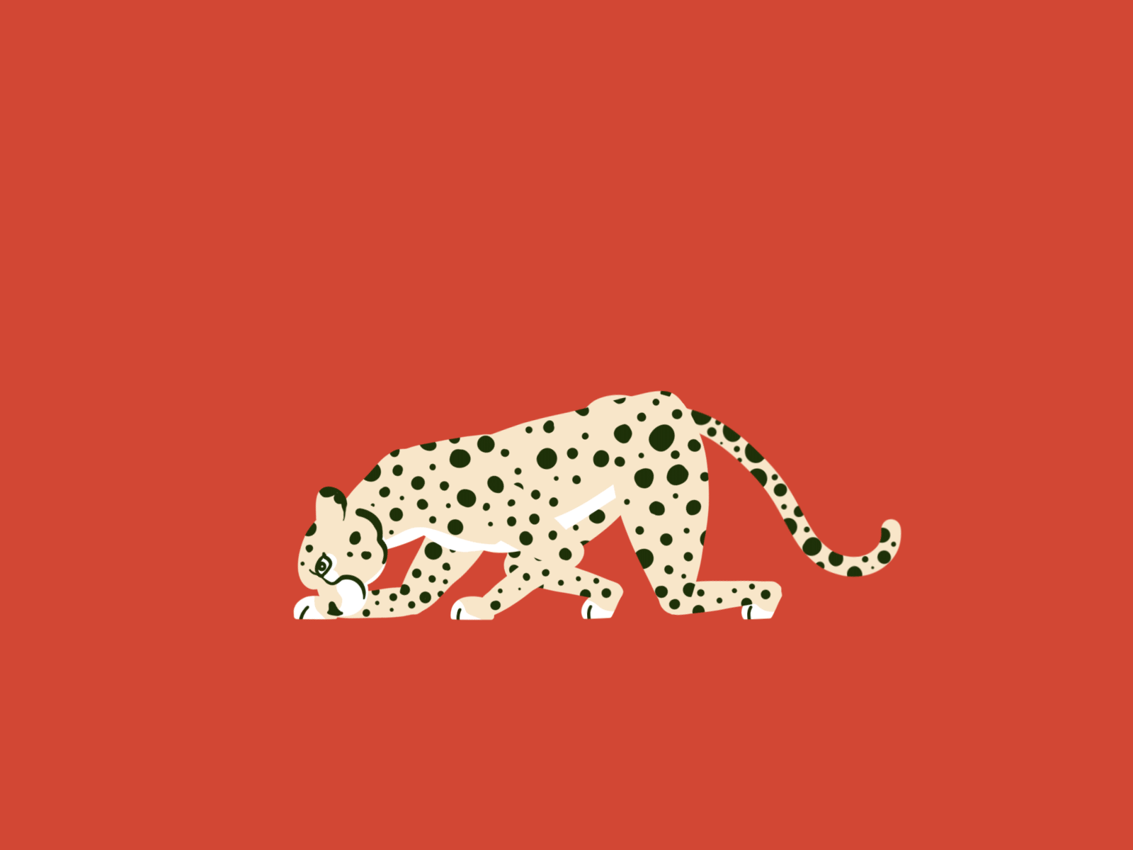 Fable & Mane - Cheetah 2d after effects animation design illustration illustrator logo motion graphics vector