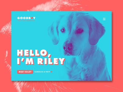 Goodboy - Landing Page Concept dog graphicdesign photoshop product design ui uidesign uidesigner uiux uiuxdesign uiuxdesigner ux