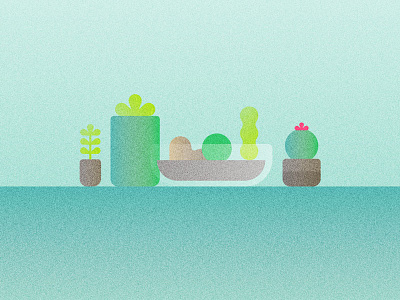 Succulents cacti cactus houseplants illustration succulents