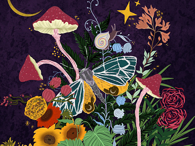 Moth Mushrooms - Illustration