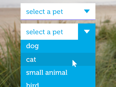 pet dropdown blue clean dropdown flat hover simple