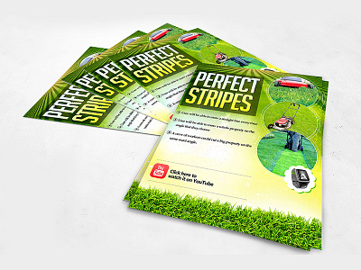 Perfect Strips One page Flyer branding design flyer design illustration