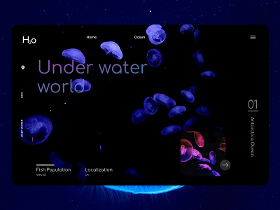 Under water world. app branding design graphic design ui ux vector web