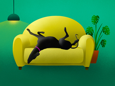 Roaching greyhound illustration couch digital dog drawing green greyhound illustration ipad pro light living room plant procreate sofa