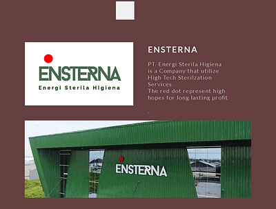 ENSTERNA COMPANY LOGO DESIGN company brand logo logo design mockup