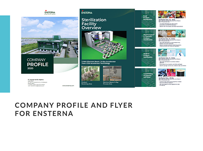 Company profile ENSTERNA company profile minimal