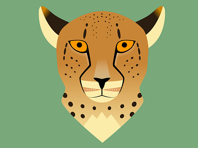 Cheetah Illustration animal cheetah design illustration