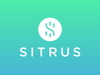 Sitrus brand identity brand identity logo logotype symbol