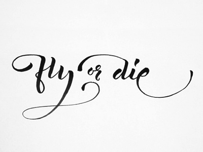 Fly Or Die calligraphy black brushpen calligraphy handwritting lettering typography white