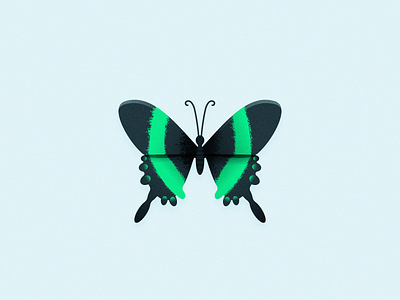 Emerald Swallowtail butterfly illustration illustrator vector
