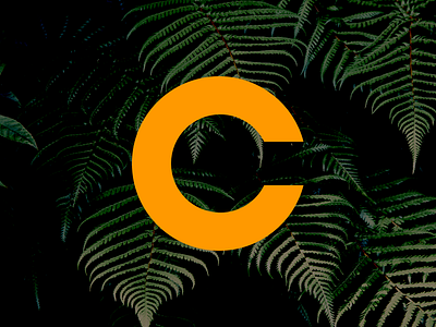 The Perfect C c circle connect identity letter lettering logo orange