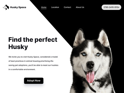 Husky Space design pet ui website