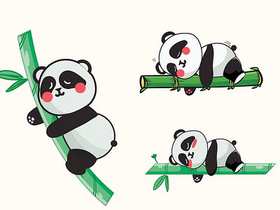 Panda design graphic design illustration vector