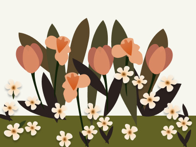 Floral Illustration adobeillustrator adobexd branding design graphic design illustration