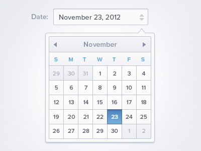 Date Picker app application bleu date date picker grey ui