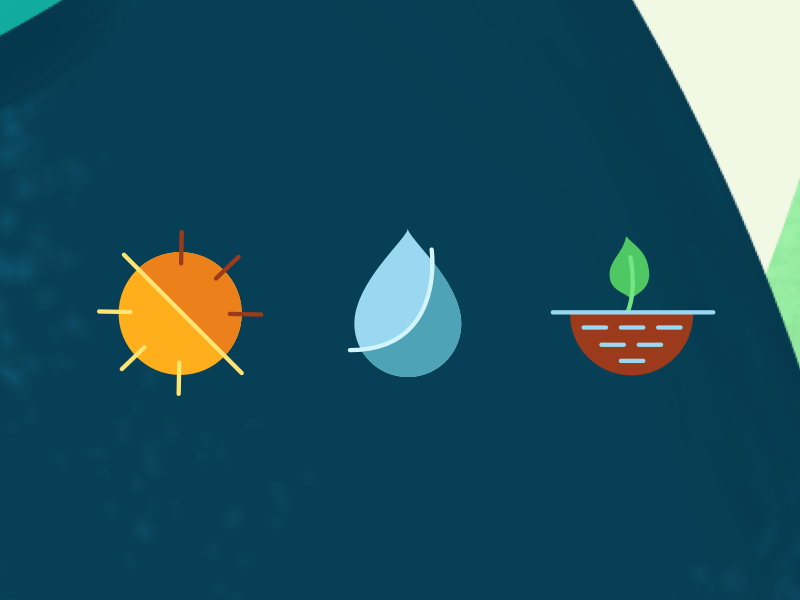 Plant growing cardboard box app - Icons by Diana Padrón on Dribbble