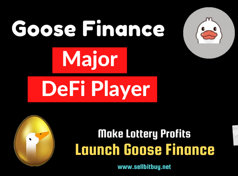 Launch Goose Finance Like DeFi Protocol on BSC by AnyJos on Dribbble