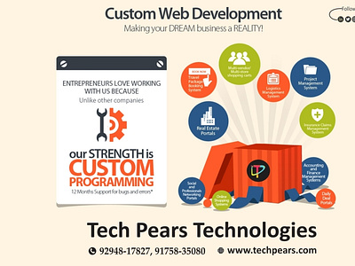 Custom Web Development services in pune-TECH PEARS TECHNOLOGIES