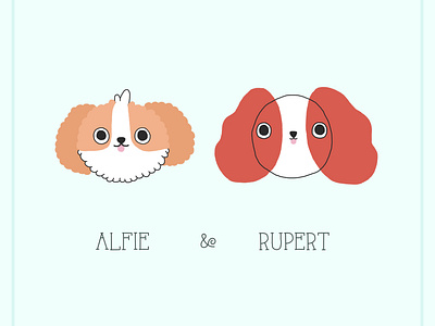 Alfie and Rupert cavachon cavalier cute dogs cute puppy dog dog illustration dogs illustration illustration design puppies puppy puppy illustration