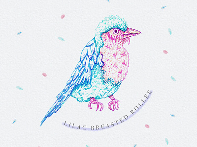 Lilac Breasted Roller bird bird illustration cute cute animal handdrawn handdrawn illustration illustration ink art ink illustration pastel pastel art pastel illustration