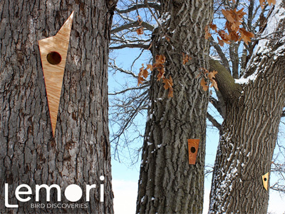 Lemori bird birdhouse human intervention industrial design nature product design project sustainability