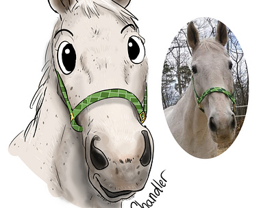 Cartooning Pets - Chandler caricature cartoon cartooning digital art horse horses illustration illustrations pets portrait