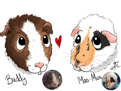 Cartooning Pets - Buddy & Moo Moo caricature cartoon cartooning digital art guinea pigs illustration pets portrait