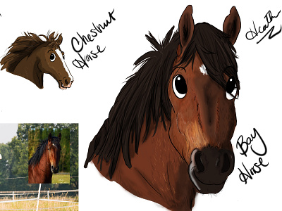 Cartooning Pets - Horses caricature cartoon cartooning digital art horse horses illustration illustrations pets portrait