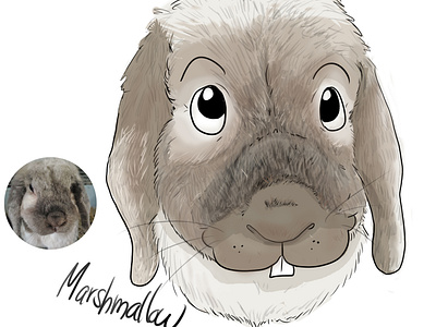 Cartooning Pets - Marshmallow