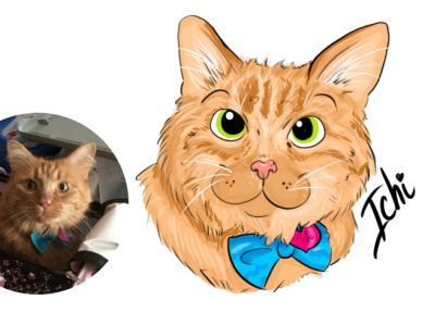 Cartooning Pets - Ichi caricature cartoon cartooning cats digital art illustration illustration digital illustrations pets portrait