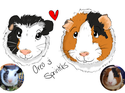 Cartooning Pets - Oreo and Sprinkles caricature cartoon cartooning digital art guinea pigs illustration illustrations pets portrait