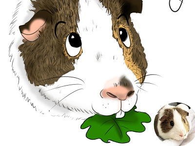 Cartooning pets - Barnaby caricature cartoon cartooning digital art guinea pigs illustration illustration digital illustrations pets portrait