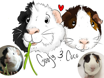 Cartooning Pets - Goofy and Coco caricature cartoon cartooning digital art guinea pigs illustration illustrations pets portrait