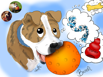 Cartooning Pets - Bandit caricature cartoon cartooning digital art dogs illustration illustration digital illustrations pets portrait