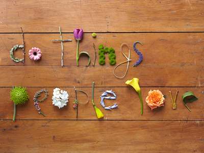 DTPL – Spring art direction flowers lettering plants spring type