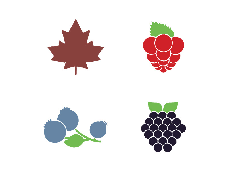 Syrup illustrations raspberry blueberry leaf illustrations label syrup berries