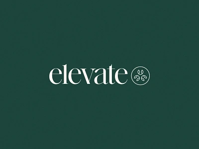 Elevate 🌿⬆️ | Unused Concept arrow brand branding design elegant elevate geometric life logo logo design medical medicine modern new pain serif simple therapy up