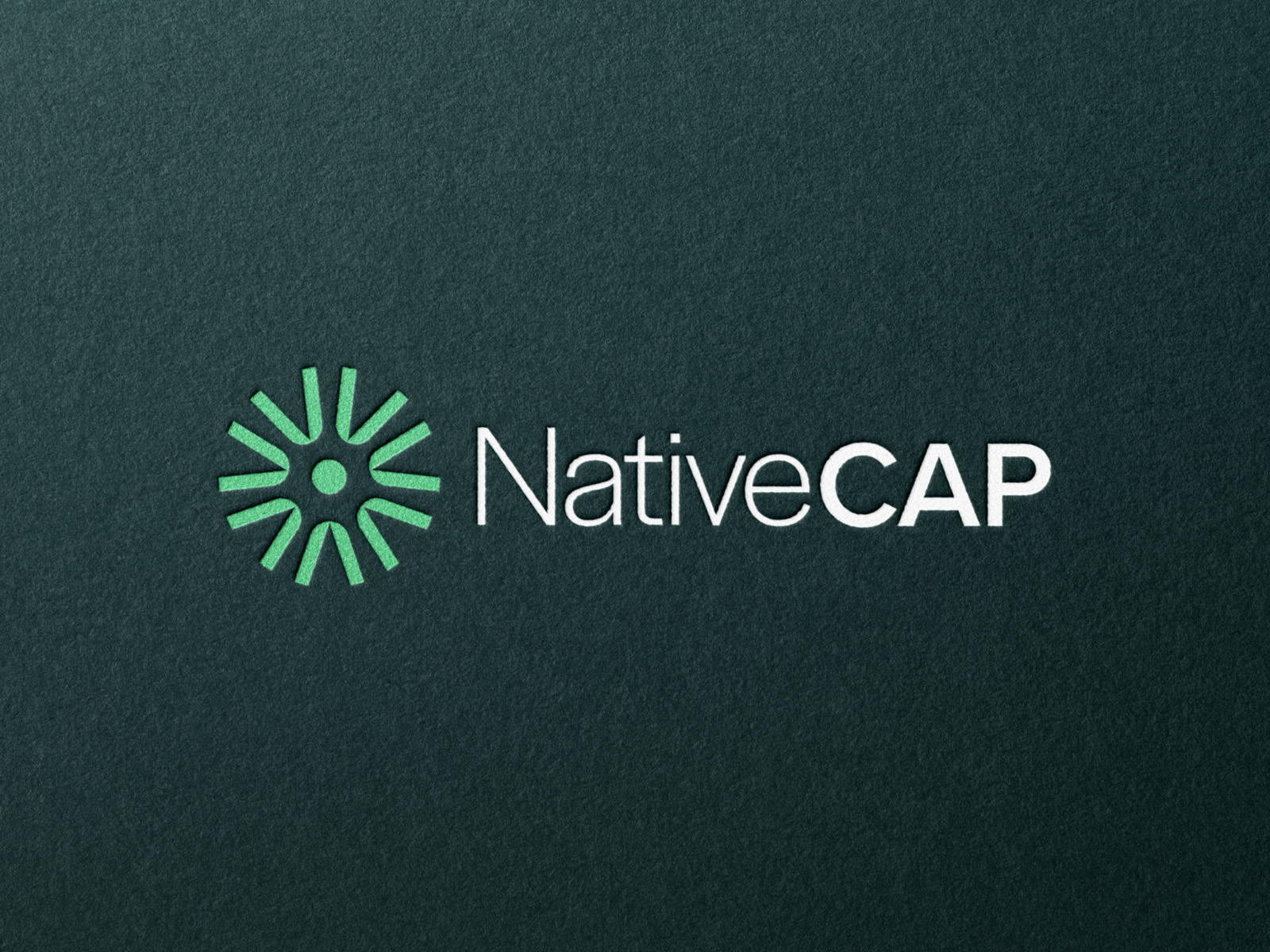NativeCap | Brand Identity by Brennan Burling on Dribbble