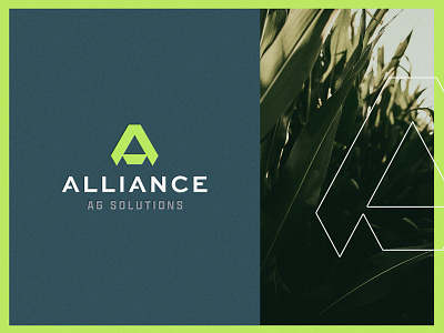 Alliance Ag Solutions | Brand Identity a ag agriculture alliance brand branding channel corn design farm hard work logo logo design midwest minimal plant sales seed simple