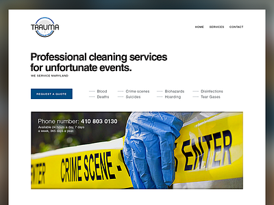 Cleaning services