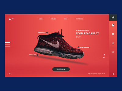 NIke Zoom Concept page