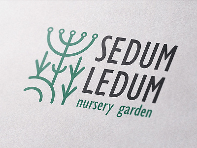 logo design for nursery garden @sedum ledum garden green logo plant