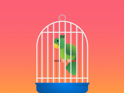 Illustration for the article "Modular Grid" bird illustration