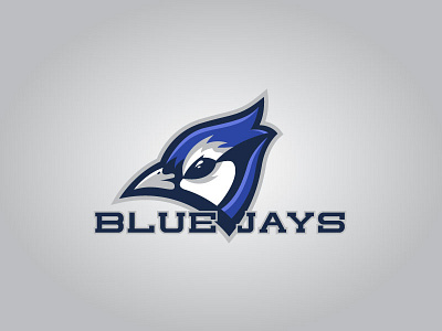 Blue Jays bird bluejay illustration logo sport