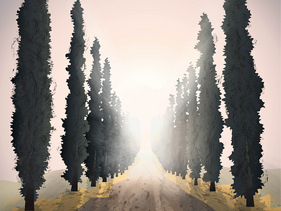 the road to light