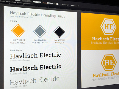 Havlisch Electric Branding branding business card color palette font guide logo style guide