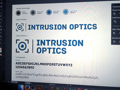 Intrusion Optics Branding branding color design logo optics palette swatches typography