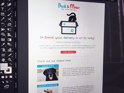 Pet Branding Email Design branding color email grid layout logo palette pet
